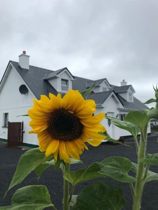 Curlews Rest - Gateway To The Aran Islands Apartment กัลเวย์ ภายนอก รูปภาพ