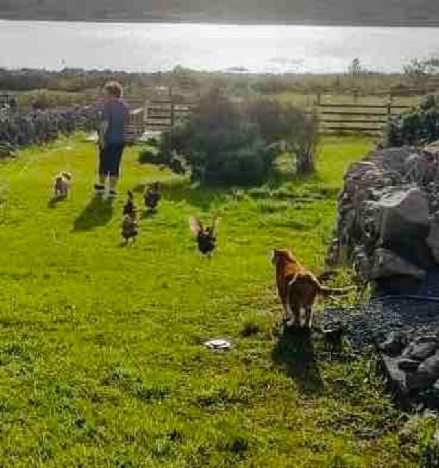 Curlews Rest - Gateway To The Aran Islands Apartment กัลเวย์ ภายนอก รูปภาพ